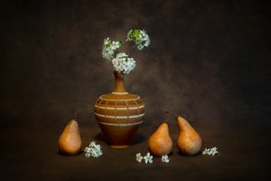 Natura morta rustica con fiori da Siyu_Wei APA