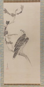 Falchi Taka zu da Soga Nichokuan