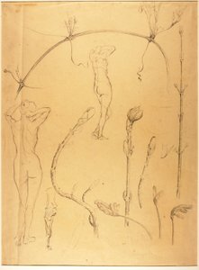 Studio di ramo e nudo da Solon H. Borglum