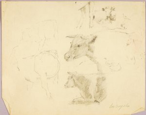 Mucche da Solon H. Borglum