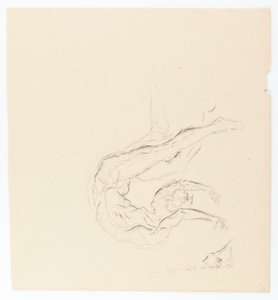 Sogno di un Broncho #5