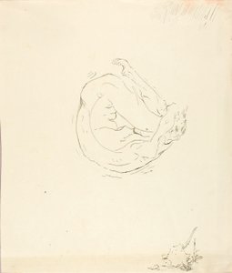 Sogno di un Broncho #9 da Solon H. Borglum