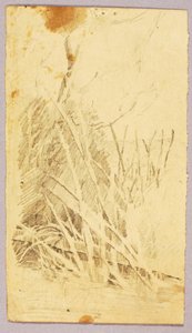 Fogliame da Solon H. Borglum