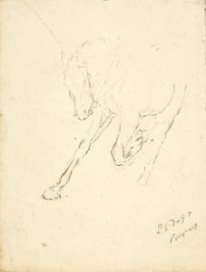 Cavallo da Solon H. Borglum