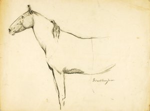 Cavallo da Solon H. Borglum