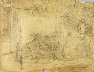 Cavallo da Solon H. Borglum