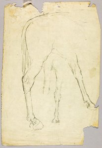 Cavallo da Solon H. Borglum