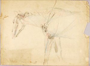 Studio sul cavallo da Solon H. Borglum