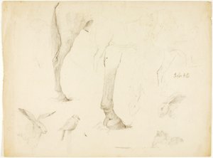 Studio del cavallo e dei conigli da Solon H. Borglum