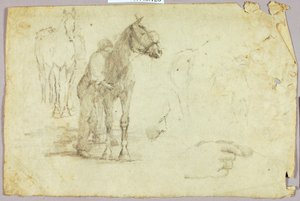 Cavallo e cavaliere da Solon H. Borglum