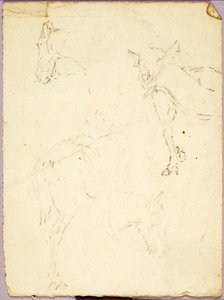 Cavalli da Solon H. Borglum