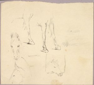 Cavalli da Solon H. Borglum
