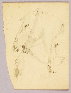 Teste di cavallo da Solon H. Borglum