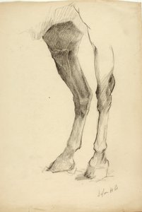 Gamba del cavallo da Solon H. Borglum