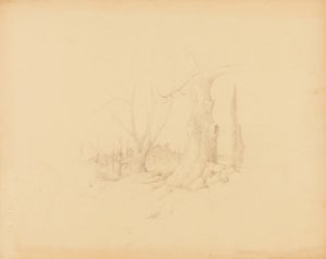 Paesaggio da Solon H. Borglum