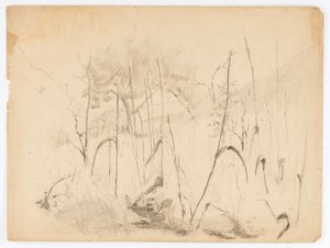 Paesaggio da Solon H. Borglum
