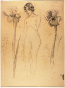 Nudo e Iris