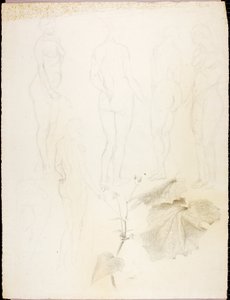 Nudi e foglie da Solon H. Borglum