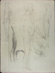 Nudi e foglie da Solon H. Borglum