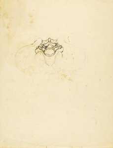 Bacino da Solon H. Borglum