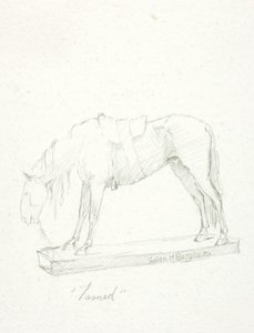 Domato da Solon H. Borglum