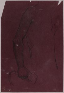 Torso, studio per il monumento equestre da Solon H. Borglum