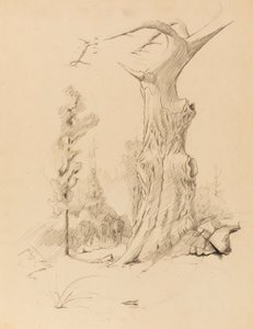 Senza titolo da Solon H. Borglum