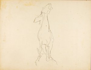 Senza titolo da Solon H. Borglum