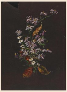 Bouquet autunnale, ca. 1890