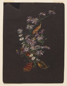 Studio di un bouquet autunnale