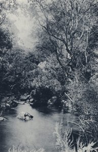 Una scena da favola, vicino a Witpoortje (foto in bianco e nero) da South African Photographer