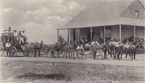 Un mezzo di trasporto innovativo, zebre che trainano la carrozza postale da South African Photographer