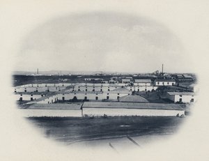 Compound Nativo, New Primrose Gold Mining Company