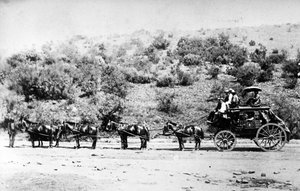 Diligenza che entra a Pretoria, c. 1895 da South African Photographer