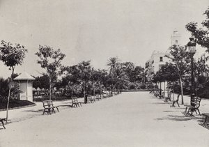 Cadice: Alameda de Apodaca da Spanish Photographer
