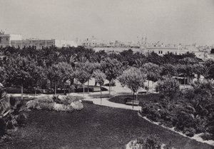 Cadice: Parque Genovés