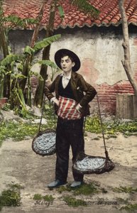 Venditore di pesce, Malaga, Spagna (foto a colori) da Spanish Photographer