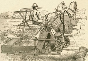 Una macchina da raccolta, trainata da cavalli, che legava meccanicamente i covoni di grano, usata alla fine del XIX secolo. Da El Museo Popular pubblicato a Madrid da Spanish School
