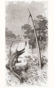 Una trappola per alligatori sul fiume Oyapock o Oiapoque, che forma il confine tra la Guyana Francese e il Brasile da Spanish School