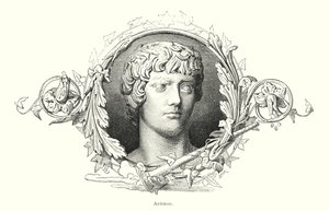 Antinoo, giovane greco di Bitinia e favorito dell