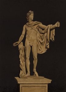 Apollo del Belvedere da Spanish School