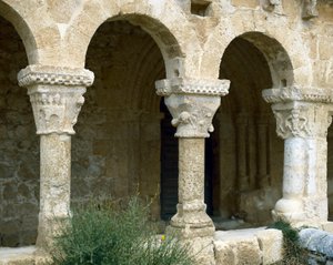 Arcate dell
