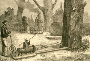 Taglio degli alberi con macchine a vapore alla fine del XIX secolo. Da El Museo Popular pubblicato a Madrid da Spanish School