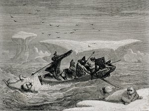 Caccia alla tricheco con arpioni nelle isole Svalbard, illustrazione da 