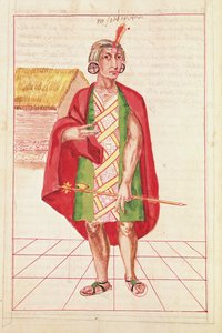 Illustrazione da 
