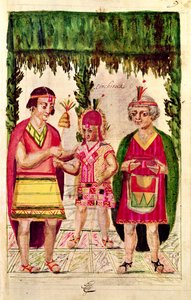 Illustrazione di Cincheroca, da 