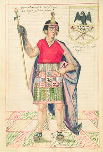 Illustrazione di Cincheroca, da 