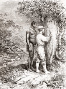 Jules Crevaux, durante la sua esplorazione della Guyana Francese nel 1878, che incide le sue iniziali su un albero sulle rive del fiume Oyapock o Oiapoque