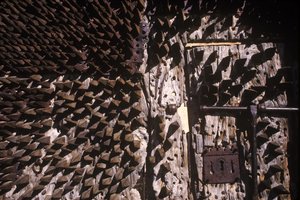 Punte di metallo incastonate in una porta del castello