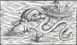 Mostri marini, 1511 da Spanish School